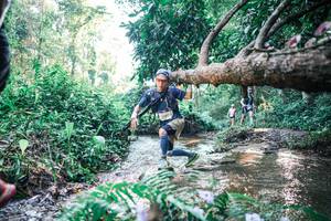 BIB: 
                            <button type="button" onclick="openModal(25436981)" class="btn btn-primary btn-sm float-right btn-popup" data-toggle="modal" data-target=".modal-high-quality">
                        <i class="fas fa-shopping-cart"></i> Add to Cart
                    </button>
                                            <button type="button" onclick="isThisMe(25436981, true)" class="btn btn-success btn-sm float-right btn-popup btn-isme hidden" data-toggle="tooltip" data-placement="bottom" title="นี่คือรูปของคุณใช่ไหม คลิกที่นี่เพื่อเอาเข้าอัลบั้ม">
                        <i class="fas fa-plus"></i> Add to album
                    </button>
                    <button type="button" onclick="isThisMe(25436981, false)" class="btn btn-warning btn-sm float-right btn-popup btn-isnotme hidden">
                        <i class="fas fa-ban"></i> Remove from album
                    </button>